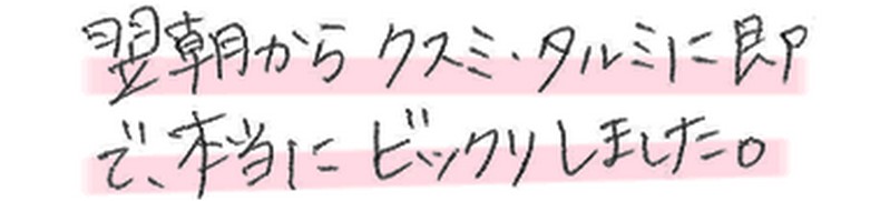 �X�e���}���A���T�C�g